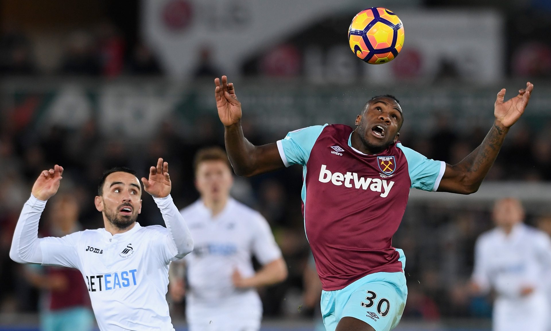 网球选手 网球选手