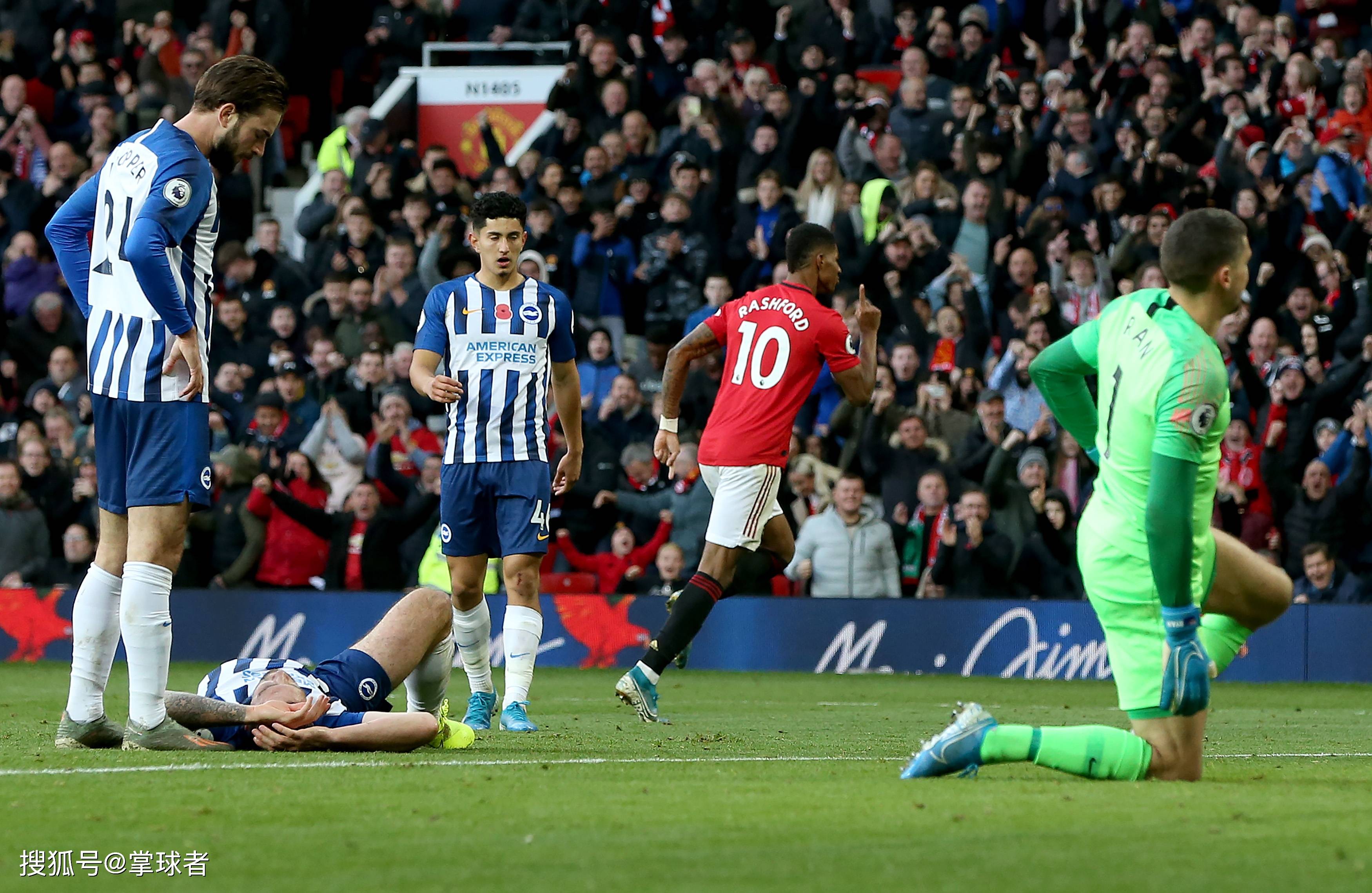 它更像是柏 它更像是柏